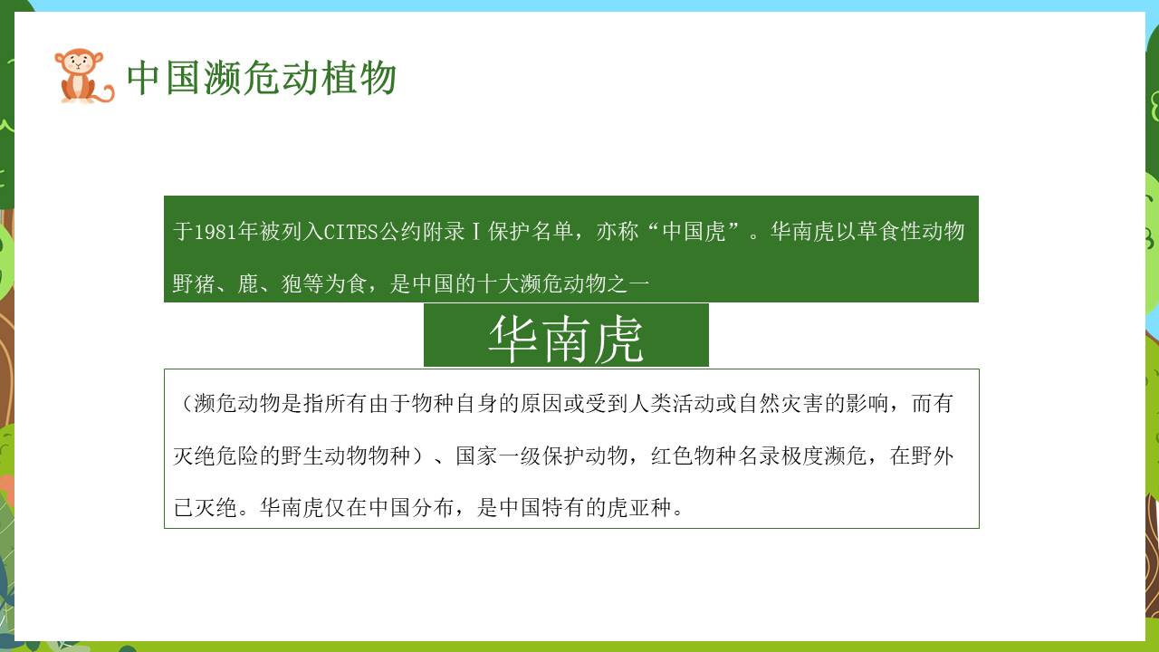 节日班会 (20).pptx